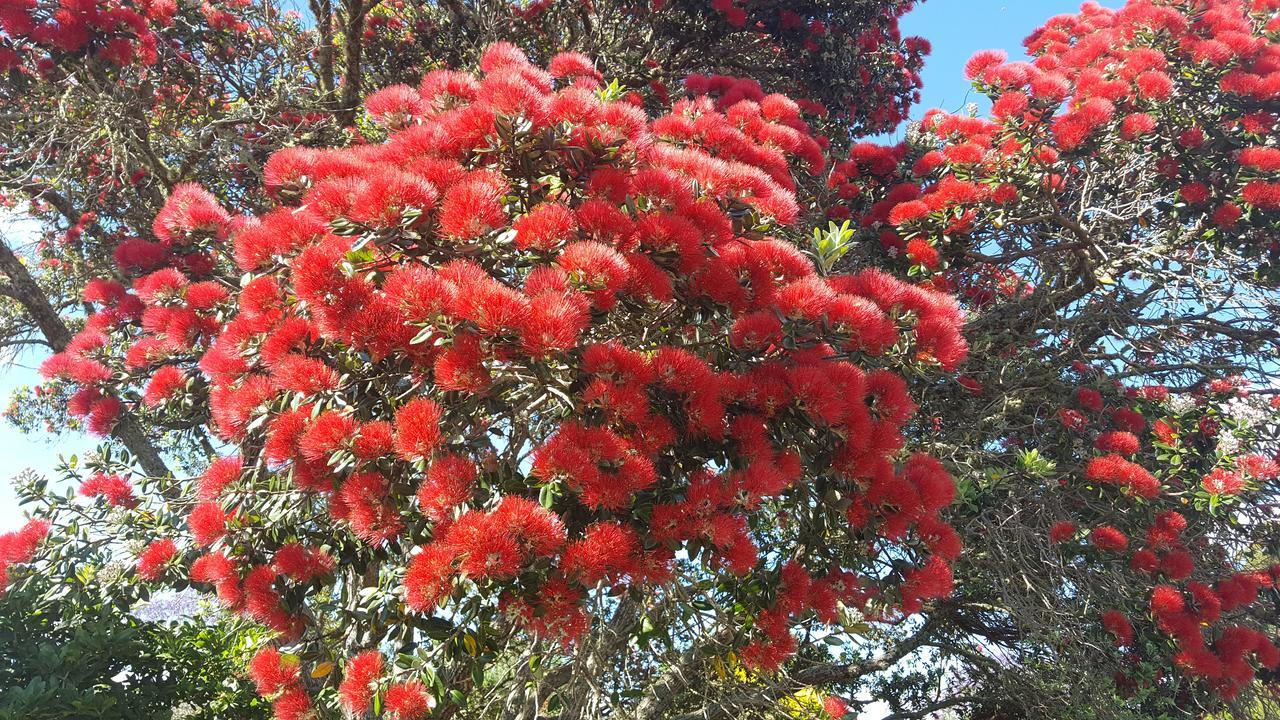 Arthur Street Bed and Breakfast Whitianga Buitenkant foto