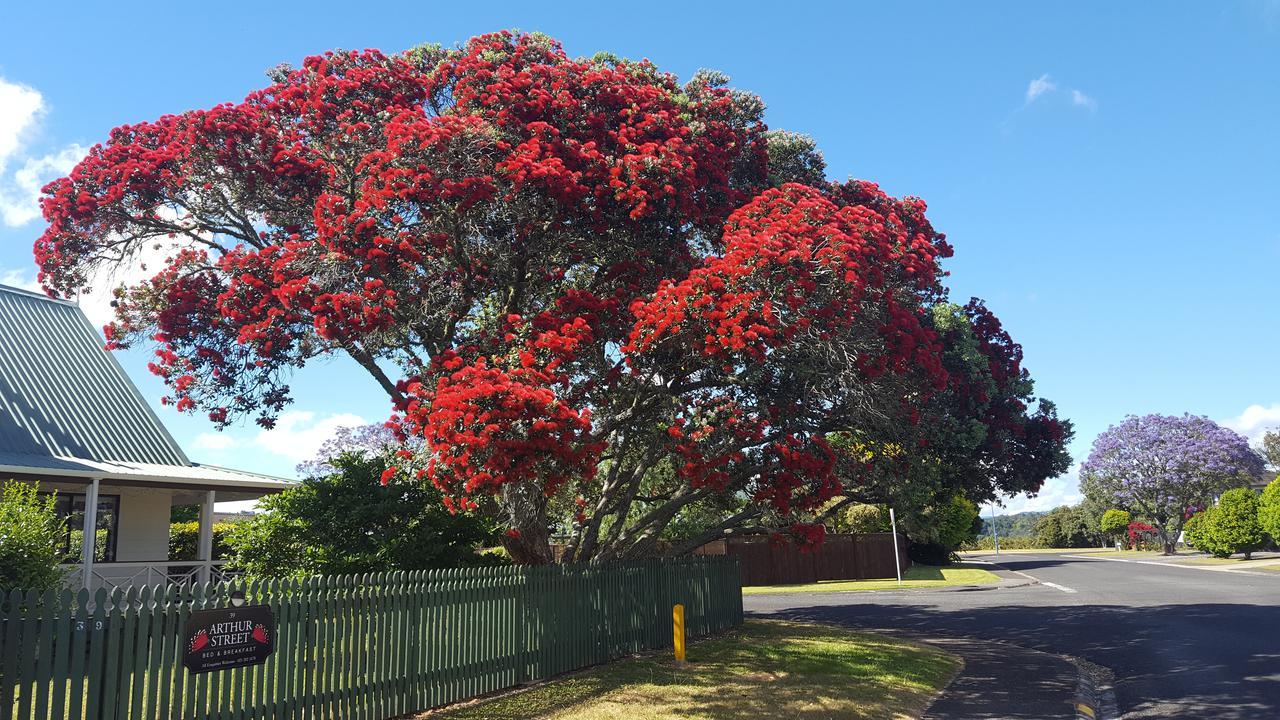 Arthur Street Bed and Breakfast Whitianga Buitenkant foto